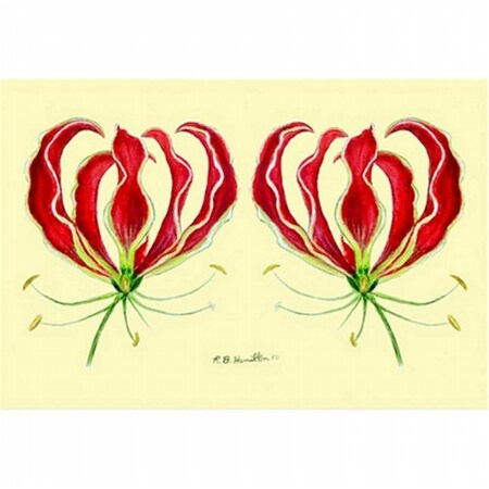 Betsy Drake Whiskers Door Mat, Large DM428G